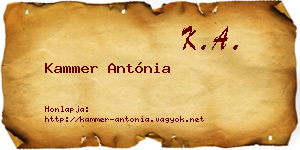 Kammer Antónia névjegykártya